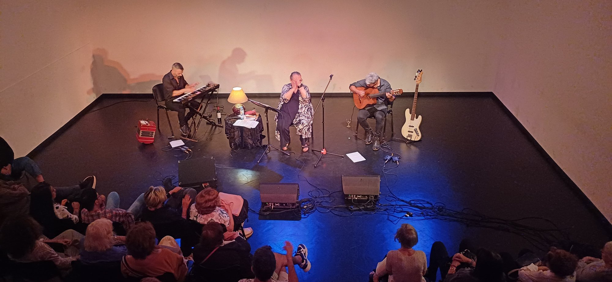 Rita Cortese en Canciones excéntricas, con Aldo Vallejos y Seba Zasali